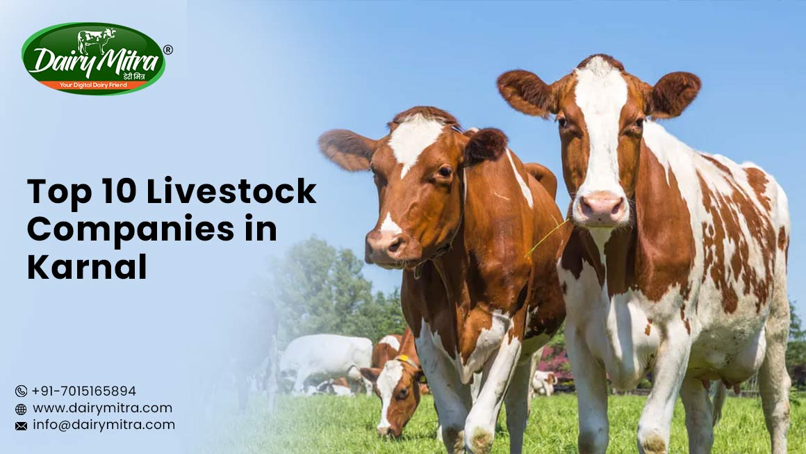 Livestock Companies in Karnal